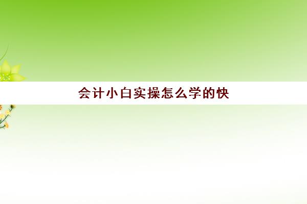 会计小白实操怎么学的快(新手会计应该怎么着手)