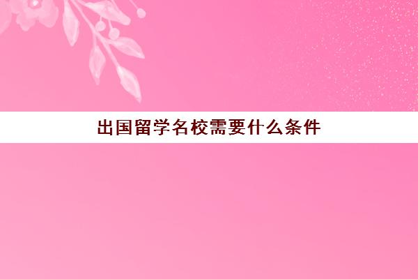 出国留学名校需要什么条件(如何考取国外大学)