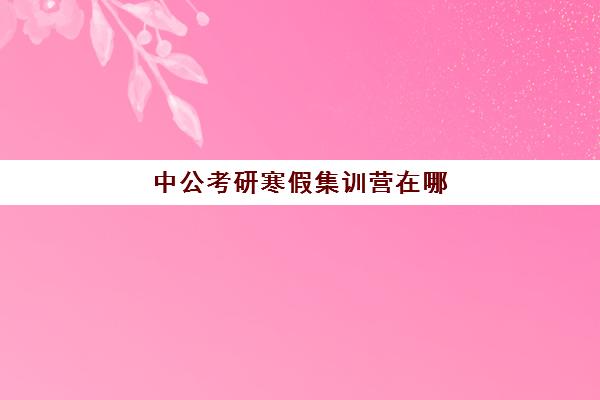 中公考研寒假集训营在哪(中公考研培训收费标准)