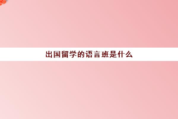 出国留学的语言班是什么(国外语言班要花多少钱)