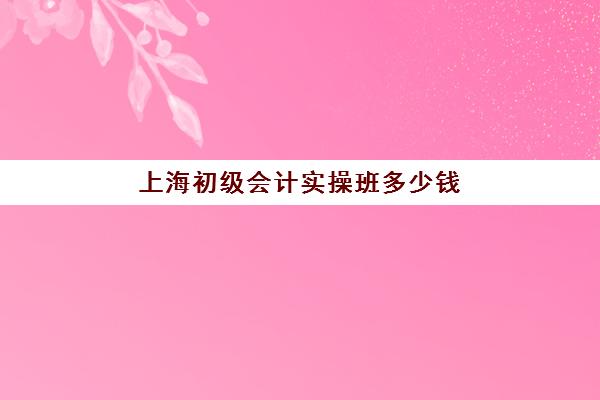 上海初级会计实操班多少钱(上海初级会计证报考条件)