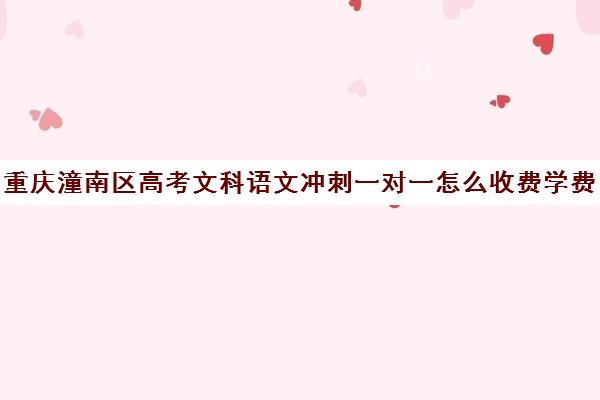 重庆潼南区高考文科语文冲刺一对一怎么收费学费多少钱(一对一辅导收费)