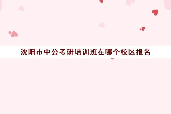 沈阳市中公考研培训班在哪个校区报名(沈阳考公培训机构哪家好)