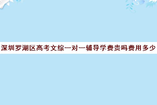 深圳罗湖区高考文综一对一辅导学费贵吗费用多少钱(深圳哪个补课机构比较好)