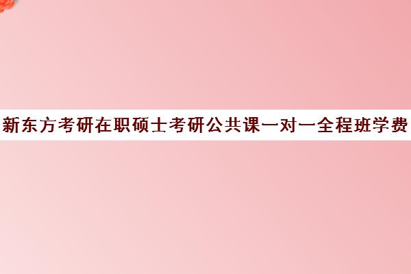 新东方考研在职硕士考研公共课一对一全程班学费价格表（在职研究生哪个培训机构好）