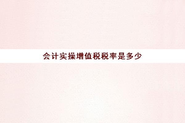 会计实操增值税税率是多少(增值税基本税率是多少)