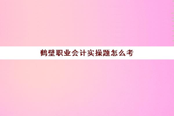 鹤壁职业会计实操题怎么考(鹤壁会计师事务所招聘)