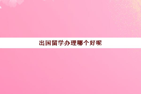 出国留学办理哪个好呢(留学签证在哪里办理)