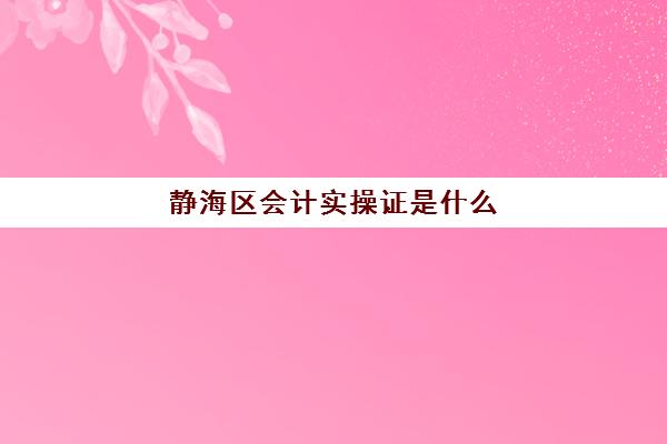 静海区会计实操证是什么(会计初级证有用吗)