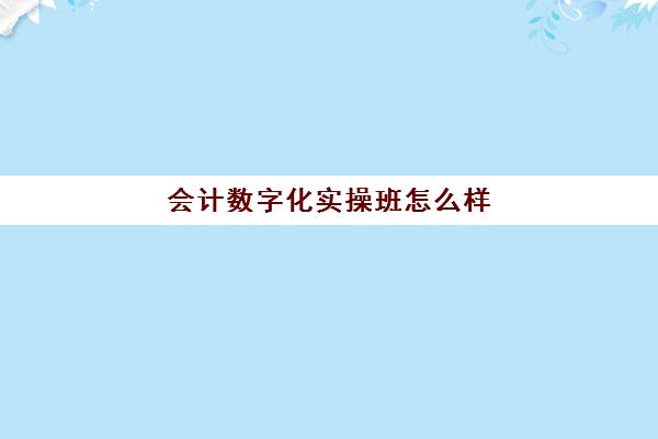 会计数字化实操班怎么样(会计电算化专业主修课程)