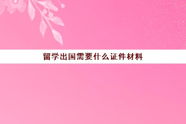 留学出国需要什么证件材料(留学需要提供什么资料)