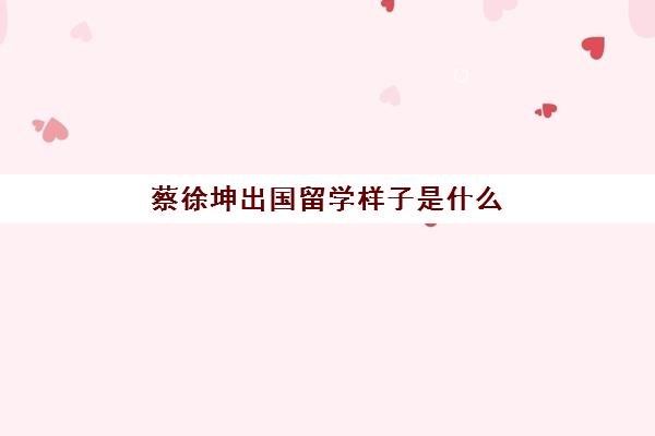 蔡徐坤出国留学样子是什么(蔡徐坤去哪留学了)