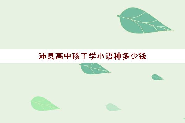 沛县高中孩子学小语种多少钱(高中学小语种有用吗)