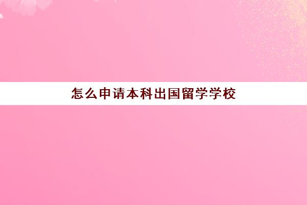 怎么申请本科出国留学学校(怎样申请国外的大学)