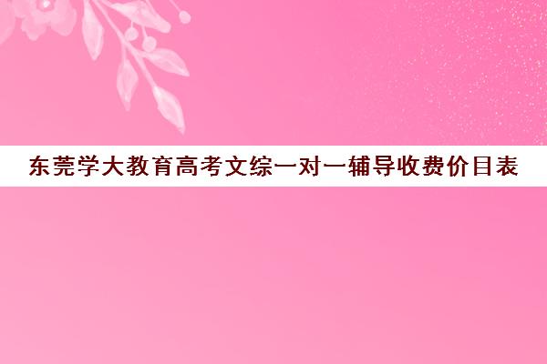 东莞学大教育高考文综一对一辅导收费价目表（学大教育学费多少）