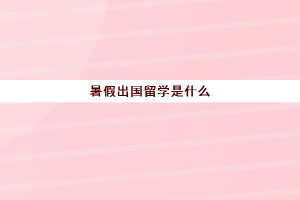 暑假出国留学是什么(出国留学为了啥)