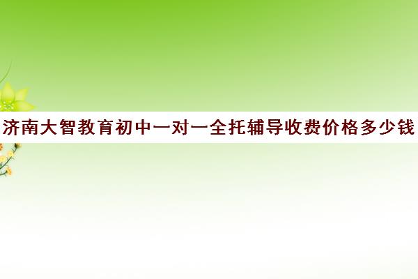 济南大智教育初中一对一全托辅导收费价格多少钱(济南一对一辅导价格表)