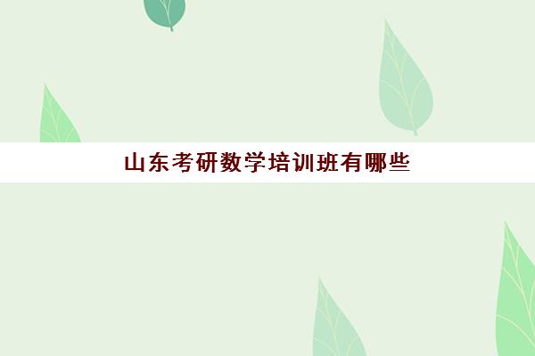 山东考研数学培训班有哪些(考研辅导班报名划算吗)