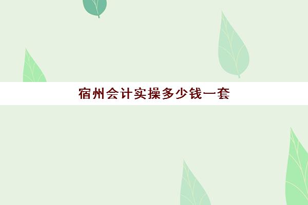 宿州会计实操多少钱一套(宿州哪里有会计培训机构)