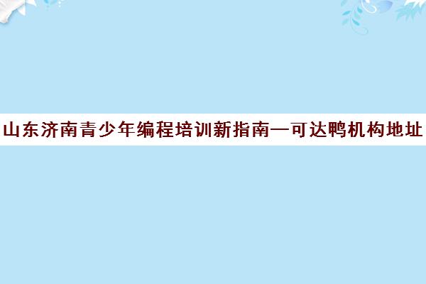 山东济南青少年编程培训新指南—可达鸭机构地址大全