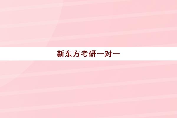 新东方考研一对一(新东方一对一收费明细)