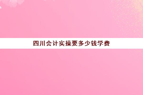 四川会计实操要多少钱学费(学会计学费多少钱)