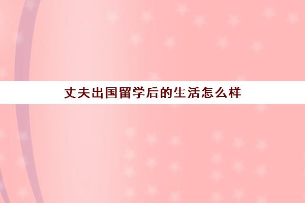 丈夫出国留学后的生活怎么样(出国好还是不出国好)