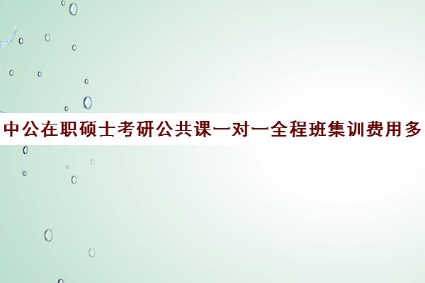 中公在职硕士考研公共课一对一全程班集训费用多少钱（在职研究生一般学费多少钱一年）