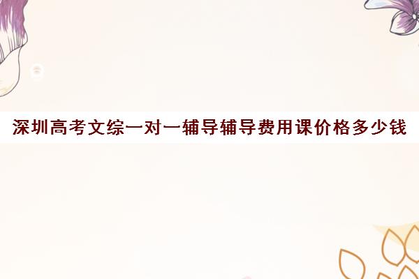 深圳高考文综一对一辅导辅导费用课价格多少钱(掌门一对一辅导好不好)