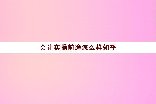 会计实操前途怎么样知乎(会计没经验怎么入行)