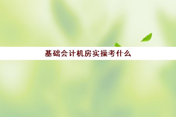 基础会计机房实操考什么(初级会计难考吗)