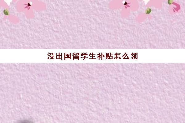 没出国留学生补贴怎么领(毕业大学生可以领取哪些国家补助)