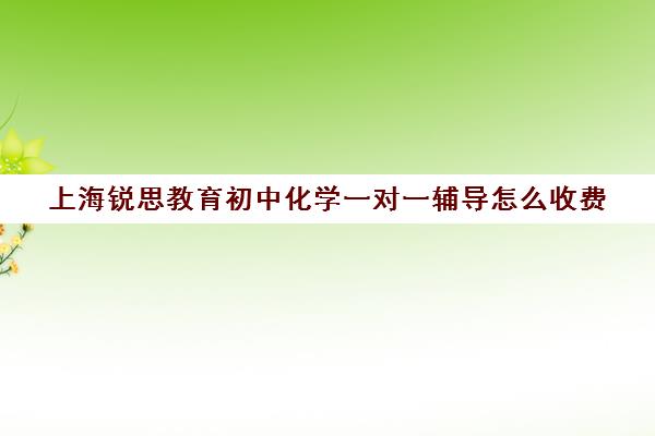 上海锐思教育初中化学一对一辅导怎么收费（正规的初中补课机构）