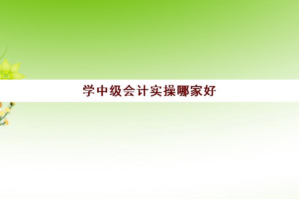 学中级会计实操哪家好(中级会计先学哪门比较好)