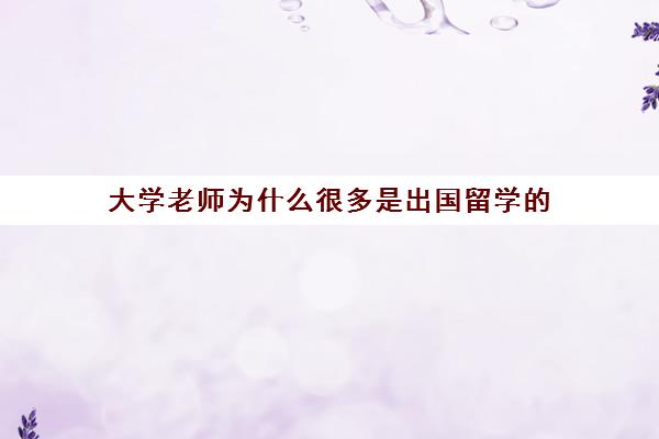 大学老师为什么很多是出国留学(留学硕士回国做大学老师)