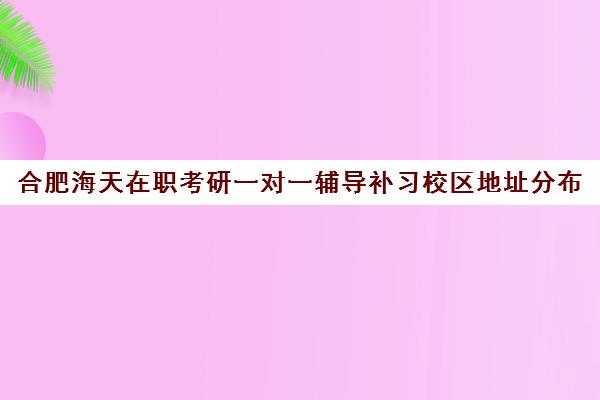 合肥海天在职考研一对一辅导补习校区地址分布