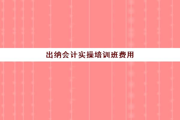 出纳会计实操培训班费用(会计和出纳的工作流程)