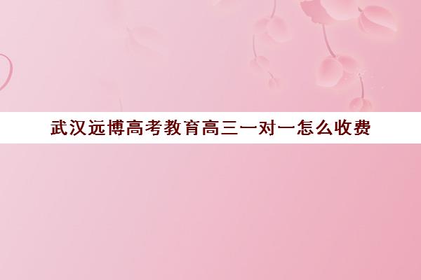 武汉远博高考教育高三一对一怎么收费(武汉邦德高考复读班)