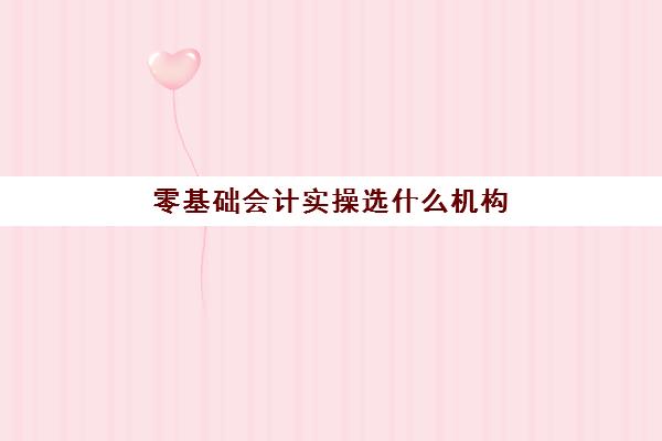 零基础会计实操选什么机构(学会计自学好还是培训班好)