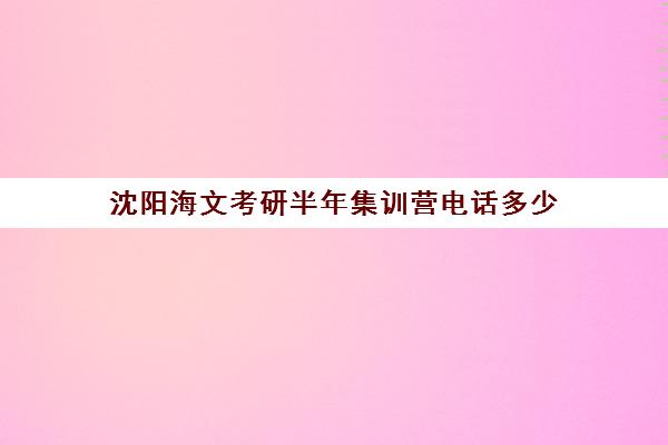 沈阳海文考研半年集训营电话多少（海文考研培训怎么样）