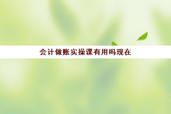 会计做账实操课有用吗现在(学了初级会计能否做账)