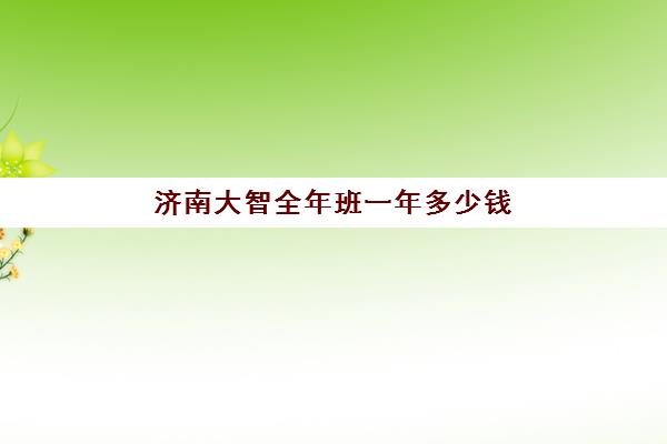 济南大智全年班一年多少钱(济南大智一对一价格)