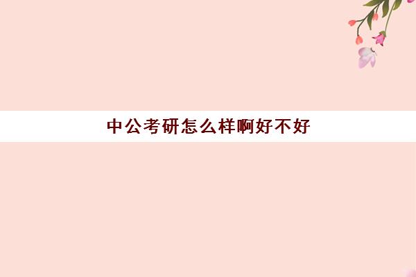 中公考研怎么样啊好不好