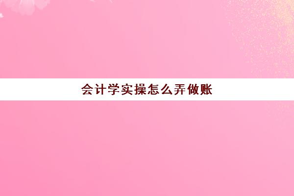 会计学实操怎么弄做账(没学过财务怎么学做账)