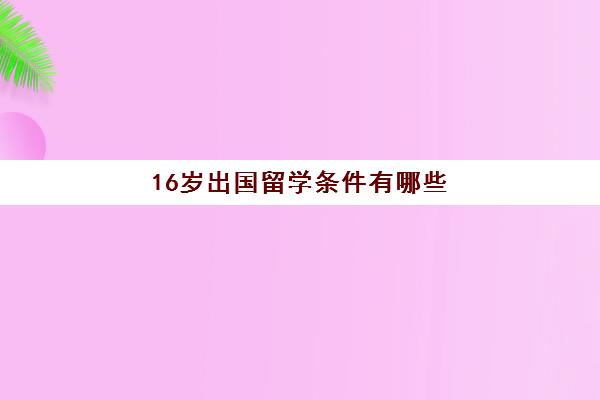 16岁出国留学条件有哪些(几岁可以出国留学)