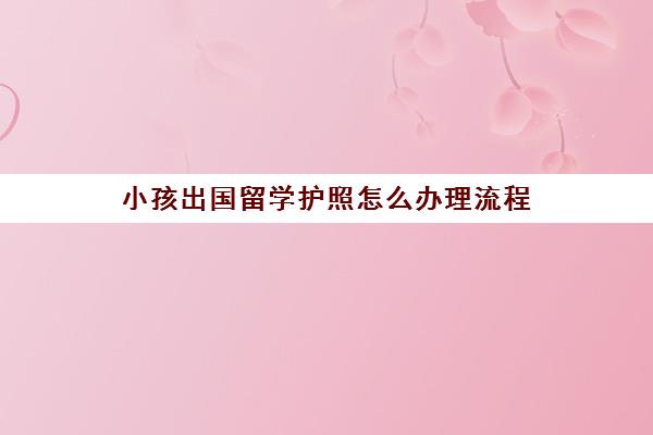 小孩出国留学护照怎么办理流程(个人出国怎样办理护照)