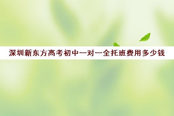 深圳新东方高考初中一对一全托班费用多少钱(新东方学校的收费标准)