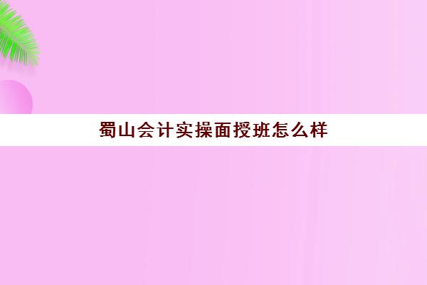 蜀山会计实操面授班怎么样(徐州会计培训机构排行)