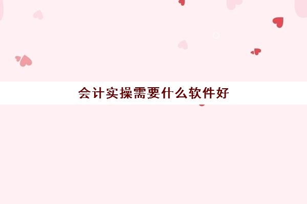 会计实操需要什么软件好(会计用的软件有哪些)