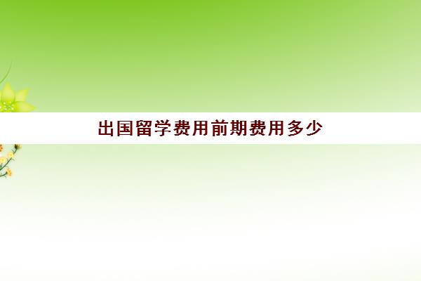 出国留学费用前期费用多少(出国留学最便宜的国家有哪些)